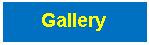 תיבת טקסט: Gallery#