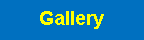 תיבת טקסט: Gallery#
