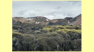 2025-07_025_Laugavegur.jpg